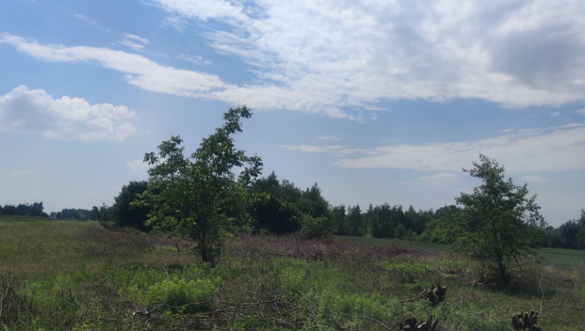 Działka Sprzedaż Borzęcin Mały